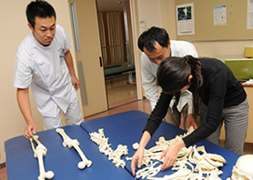 老後先生と骨を並べてみましょう