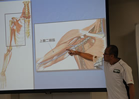 図解で止血を説明