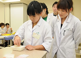 絹ごしともめん豆腐の感覚の違いを鍼先で感じ取る