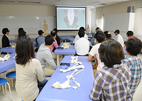 3Ｄ映像で解剖学を体験