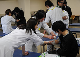 実際に包帯を使って応急処置を実技体験